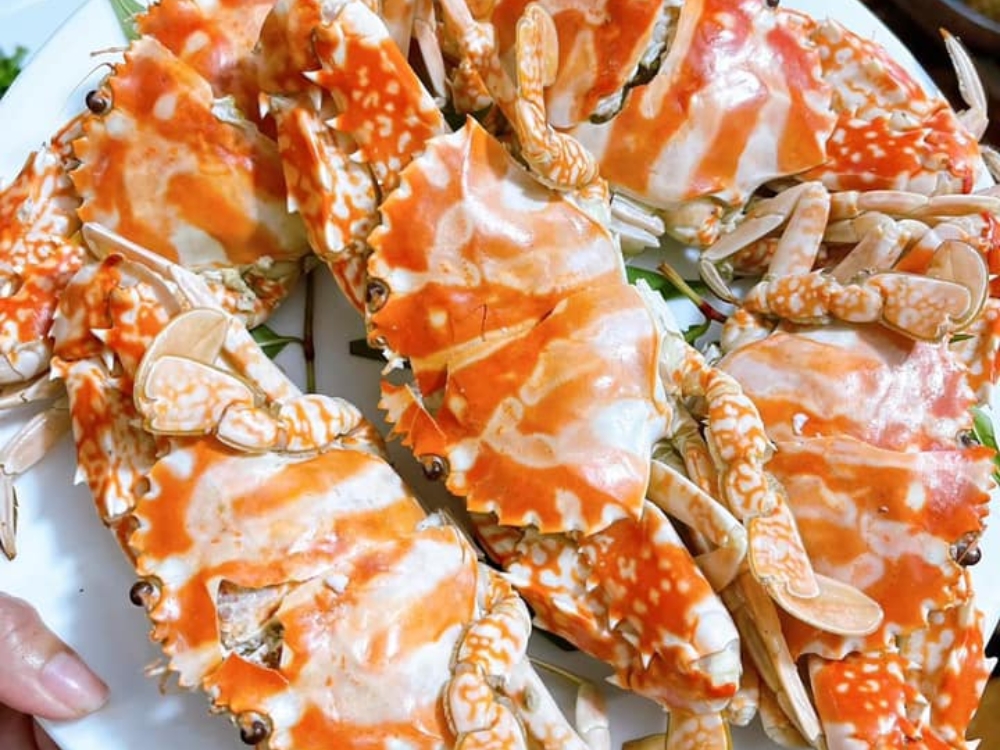 Đôi nét về nhà hàng (không gian, menu)